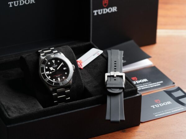 Tudor Pelagos Plongeur Demineur